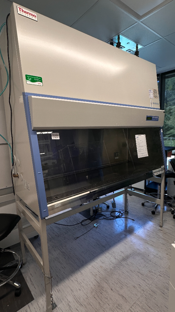 Image of Thermo Scientific 1300 Series A2 BSC- 6ft